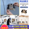 3D仿真可愛貓咪動物車門傢俱劃痕裝飾遮擋貼：圖片 2