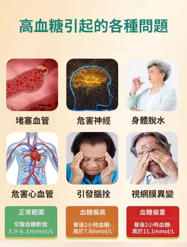 黨參山楂黃耆片：圖片 4