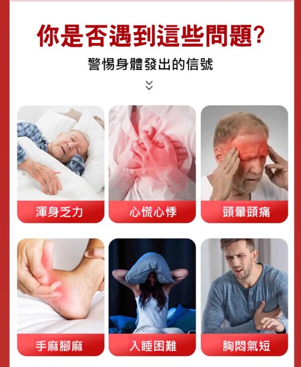 黨參山楂黃耆片：圖片 3