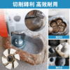 GK- 金剛石平磨頭：圖片 3