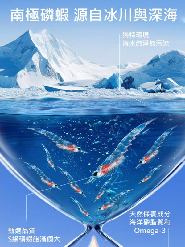 【15天還你一個健康血管】南極磷蝦油膠囊：圖片 3