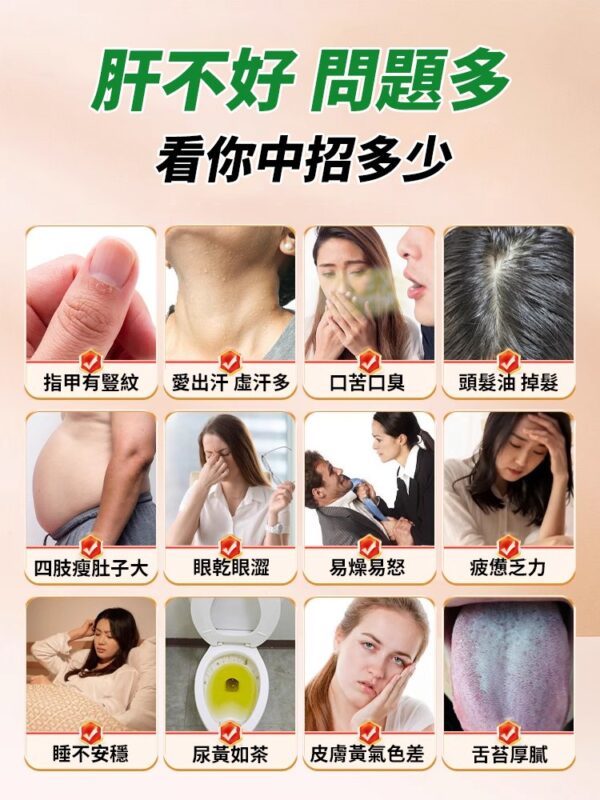 【護肝降脂】水飛薊靈芝薑黃片：圖片 3