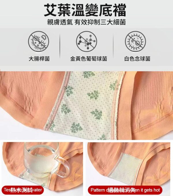 【7條超值裝】高腰收腹提臀艾草內褲：圖片 5