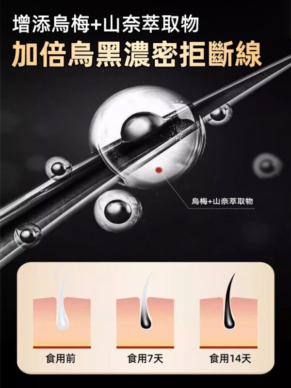 【每天1粒 黑滿頭】靈芝烏黑片：圖片 3