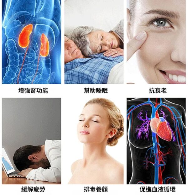 穴位磁療滾輪腳底按摩器：圖片 2